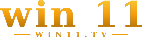 win 11 logo